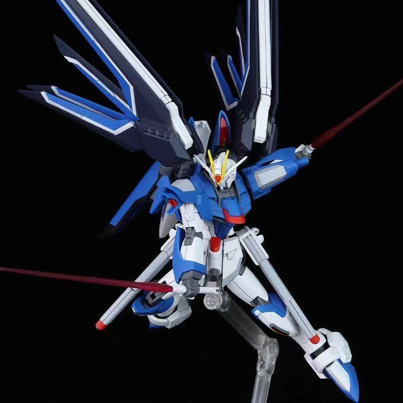 HG STTS-909 라이징 프리덤 건담 모델 키트,  - Bandai Gundam Hg 리뷰 및 가격