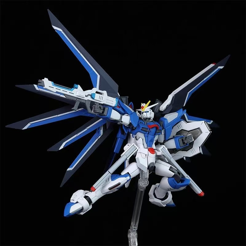 HG STTS-909 라이징 프리덤 건담 모델 키트,  - Bandai Gundam Hg 리뷰 및 가격