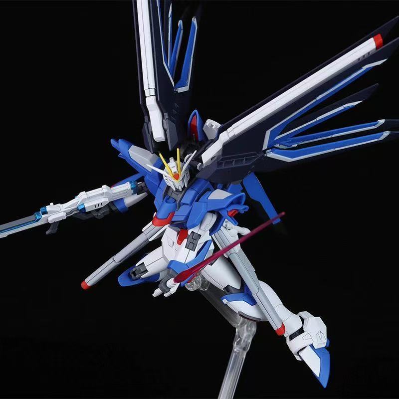 HG STTS-909 라이징 프리덤 건담 모델 키트,  - Bandai Gundam Hg 리뷰 및 가격